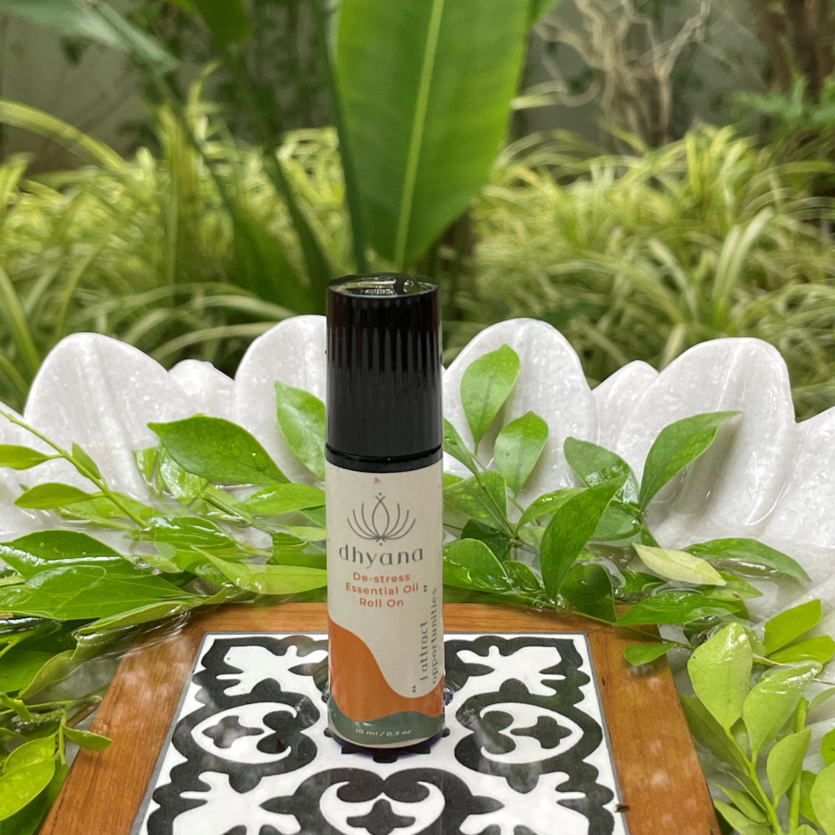 Aromatherapy Fragrance Kit